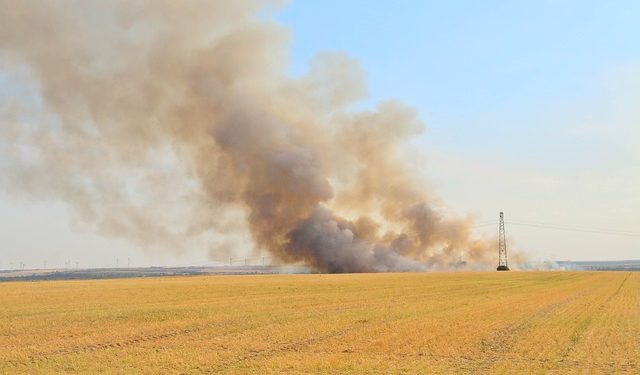 Climat "des régions entières vont devenir invivables sous l’effet caniculaire"