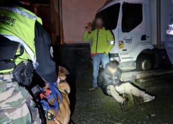Toulouse, le chien Looba débusque un trafiquant de cocaïne