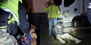 Toulouse, le chien Looba débusque un trafiquant de cocaïne