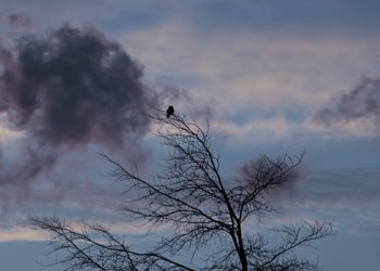 Froid et pluie à Toulouse, alerte météo pour la Haute Garonne ce lundi