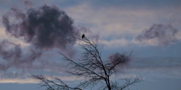 Froid et pluie à Toulouse, alerte météo pour la Haute Garonne ce lundi