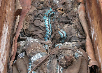 Muséum de Toulouse : sur les traces d'une étonnante momie des glaces