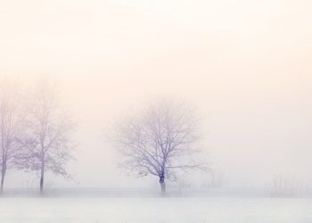 Malgré la météo hivernale, l'air reste pollué à Toulouse et en Haute Garonne