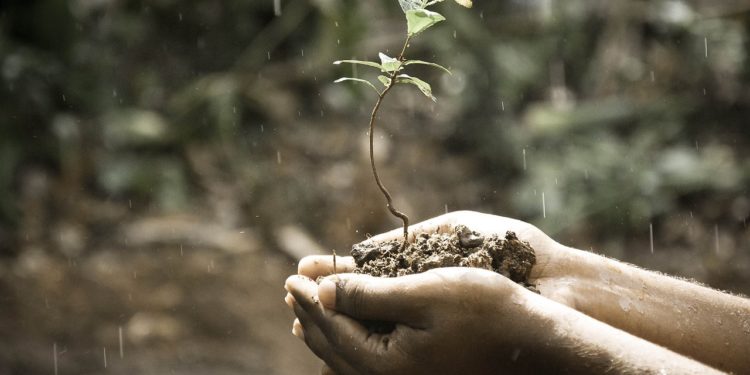 Le retour (tant attendu) de la pluie ce mardi soir à Toulouse