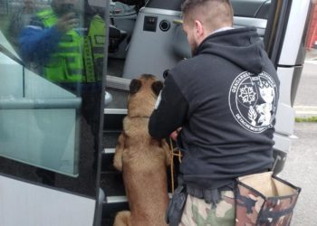 Toulouse, comment les gendarmes contrôlent les bus longue distance