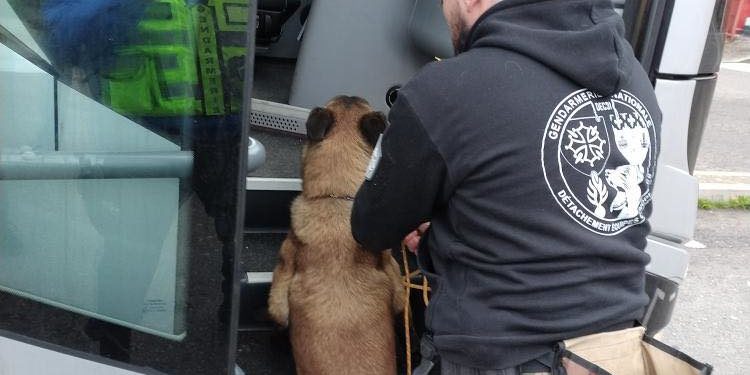 Toulouse, comment les gendarmes contrôlent les bus longue distance