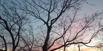 Vers une semaine ensoleillée et plus chaude à Toulouse