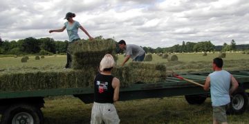 L’emploi en Occitanie deux fois plus dynamique qu’au niveau national