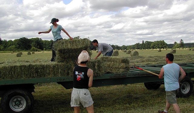 L’emploi en Occitanie deux fois plus dynamique qu’au niveau national