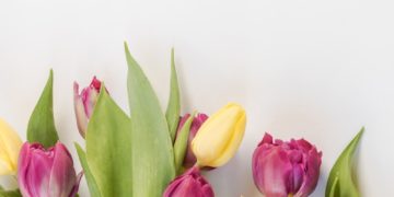 Changement de temps ce week end à Toulouse avec une possible tempête dimanche