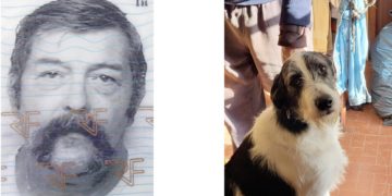 Un homme de 67 ans porté disparu entre Hautes Pyrénées et Haute Garonne