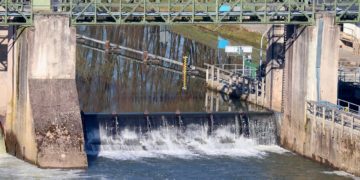 Les énergies renouvelables ont ralenti la hausse des émissions de CO2 (AIE)