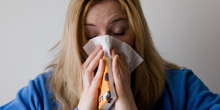 Allergies : déjà des alertes aux pollens à Toulouse