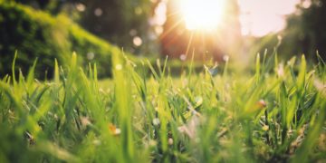Météo Toulouse : vers le retour du soleil avant une nouvelle dégradation orageuse