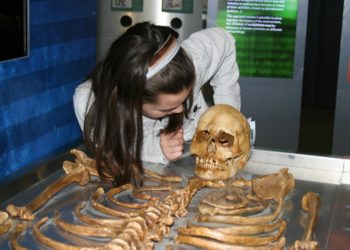 80 sites ouverts pour les journées de l'archéologie en Occitanie
