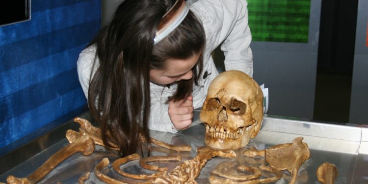 80 sites ouverts pour les journées de l'archéologie en Occitanie