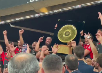 Stade Toulousain - les vidéos de la victoire