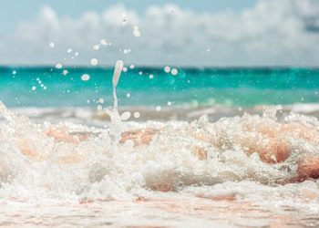 Les priorités de la Journée mondiale des Océans 2023