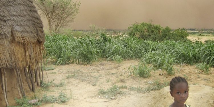 Niger coup d'état CEDAO
