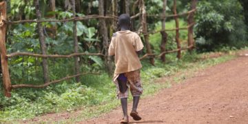 Alerte à la famine en République Démocratique du Congo