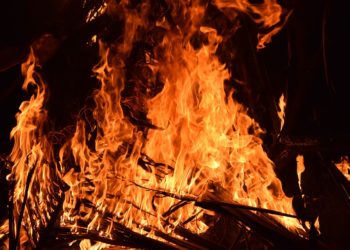 Feu dans les Pyrénées Orientales, des pompiers du Tarn en renfort