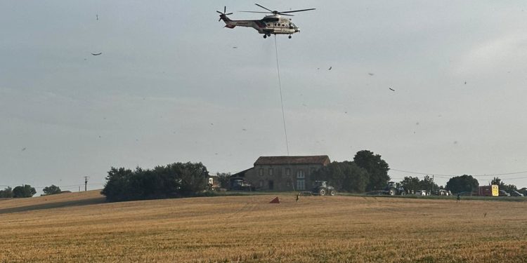 Le véhicule d'une conductrice de 85 ans percute un platane au sud de Toulouse