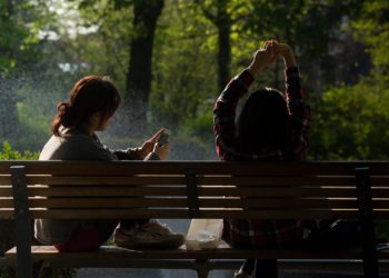 Canicule à Toulouse, piscines et parcs resteront ouverts plus longtemps