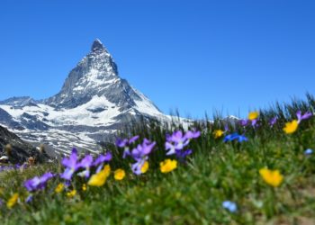 La vignette suisse : Votre clé pour une conduite sans stress en Suisse