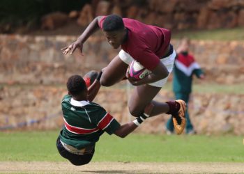 Italie Nouvelle Zélande, Ecosse, Fidji, Afrique du sud ... découvrez le programme coupe du monde de rugby du week end