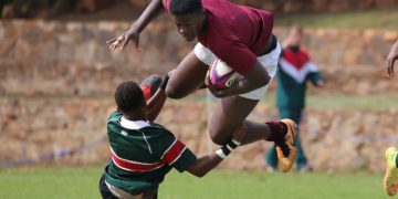 Italie Nouvelle Zélande, Ecosse, Fidji, Afrique du sud ... découvrez le programme coupe du monde de rugby du week end