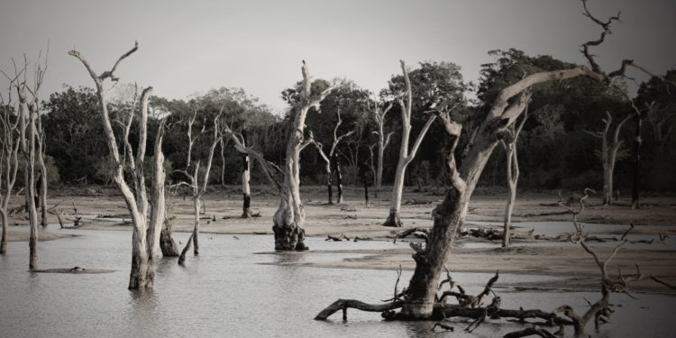 Libye au moins 3000 morts dans des inondations "aux proportions épiques"