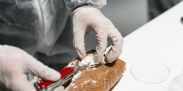 La production de Cocaïne à un niveau historique en Colombie