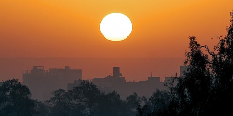 Silhouette Of Trees And Buildings During Sunset