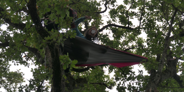 Séméac - Réunion publique aménagement de l’accueil du bois de La Barthe