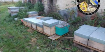 Ils avaient volé des centaines de ruches et cultivaient du cannabis