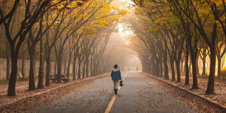 Pluies et chute des températures ce samedi à Toulouse