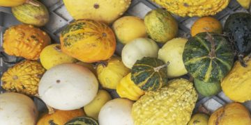 Un nouveau magasin Bio a ouvert ses portes à Colomiers