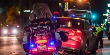 Un sanglier cause un accident sur l'A64 Tarbes Toulouse, 1 mort un blessé en urgence absolue