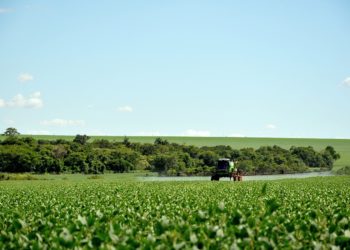 Le glyphosate renouvelé pour 10 ans en Europe
