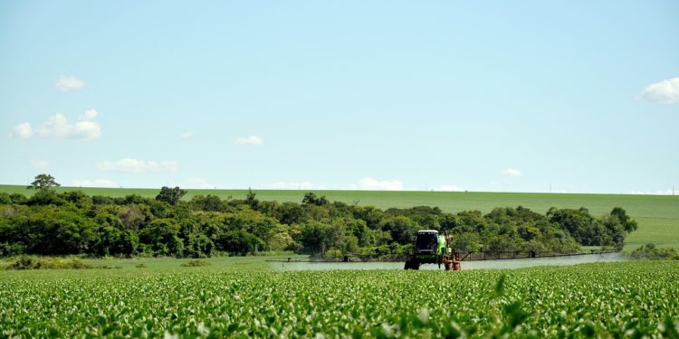 Le glyphosate renouvelé pour 10 ans en Europe
