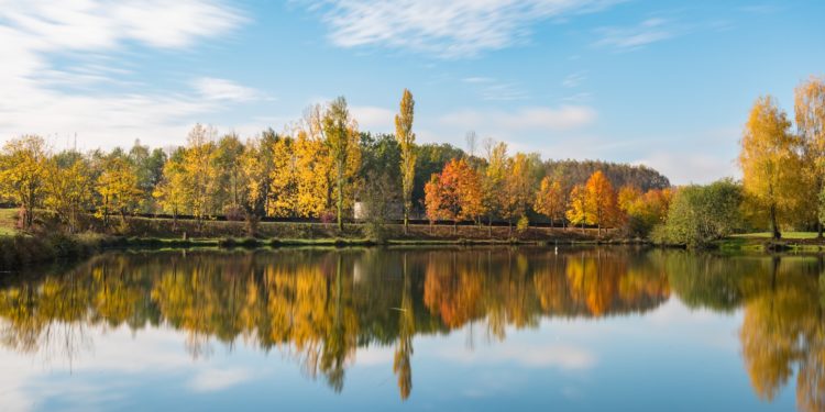 Chaleur et soleil cette semaine à Toulouse, vers un record de températures pour novembre ?