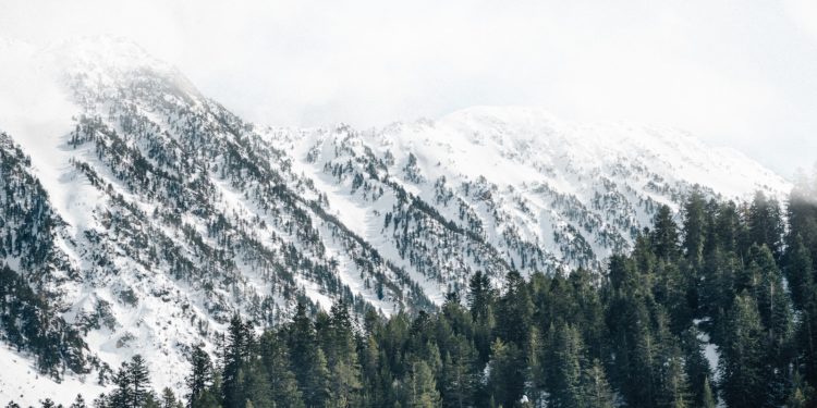 Photo by Ombeline Leprince