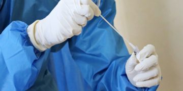 Grippe porcine sur l’homme : un premier cas au Royaume-Uni signalé par les autorités