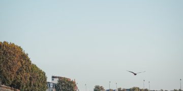 Froid, pluie, vent, neige à basse altitude, offensive de l'hiver sur Toulouse cette semaine