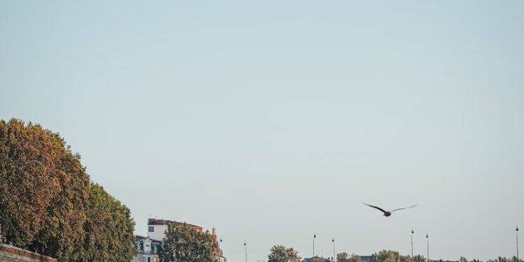 Froid, pluie, vent, neige à basse altitude, offensive de l'hiver sur Toulouse cette semaine