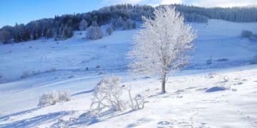 Retour de le neigedans les Pyrénées, les meilleures vidéos de vendredi