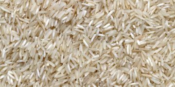Attention, des paquets de riz vendus par Carrefour peuvent contenir des larves vivantes