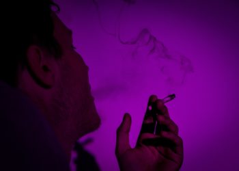 Des champignons pour faire fuir les dealers de drogue