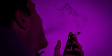 Des champignons pour faire fuir les dealers de drogue