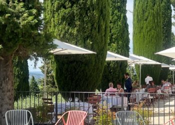 Première alerte aux pollens à Toulouse